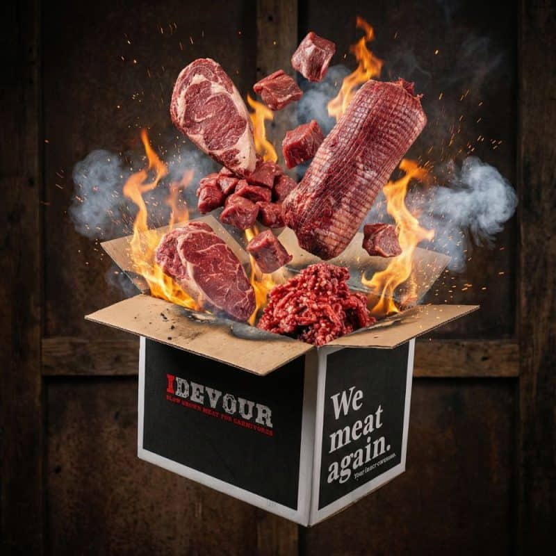 iDevour Medium Essentials Meat Box - The Kitchen Draw